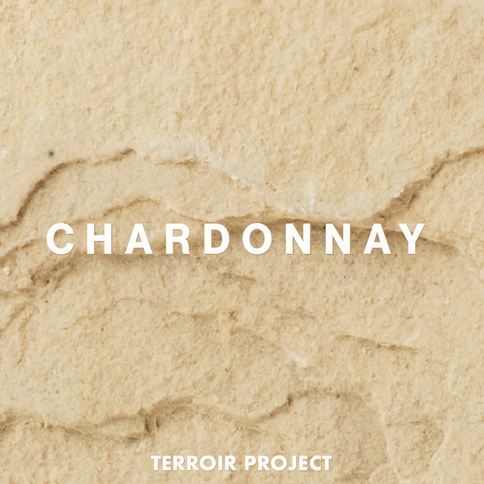 2022 Terroir Project Chardonnay - Case of 12 Deal