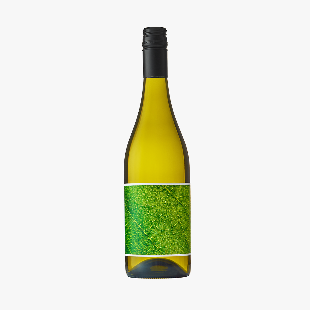 2023 Terroir Project Sauvignon Blanc – Everyday Wine