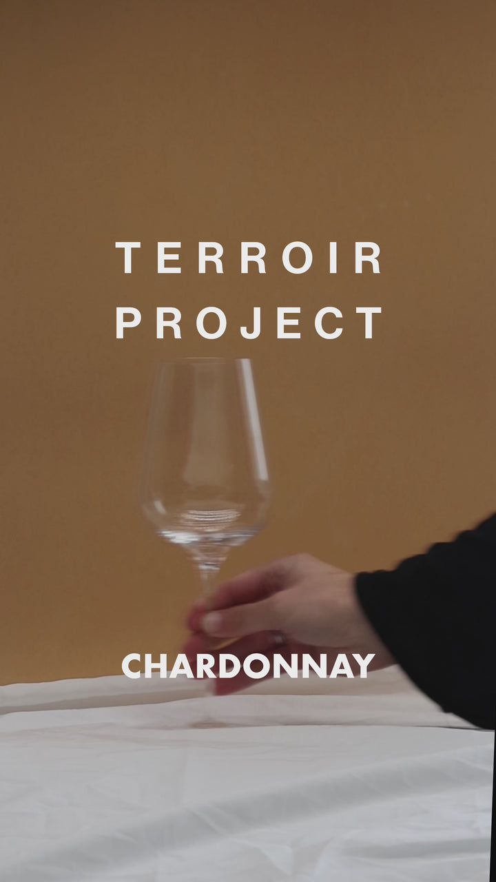 2022 Terroir Project Chardonnay - Case of 6 Deal