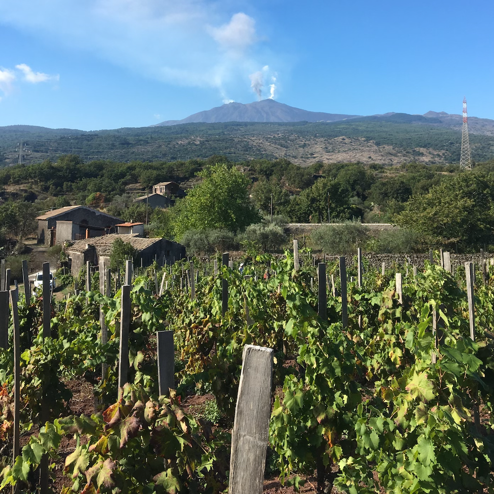 The wines of Vino di Anna - Etna, Sicily