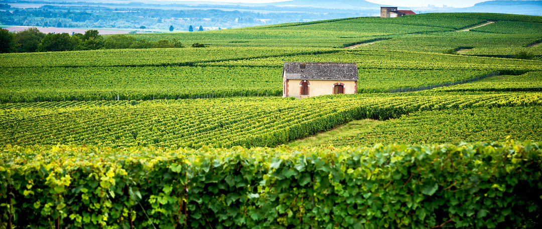 Grower Champagne & Marie Copinet
