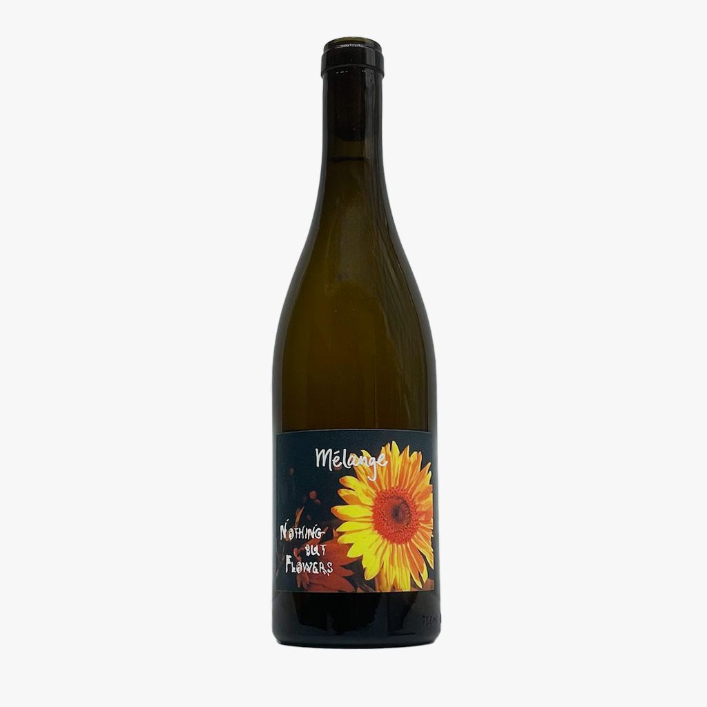 2022 Mélange 'Nothing But Flowers' Orange Blend