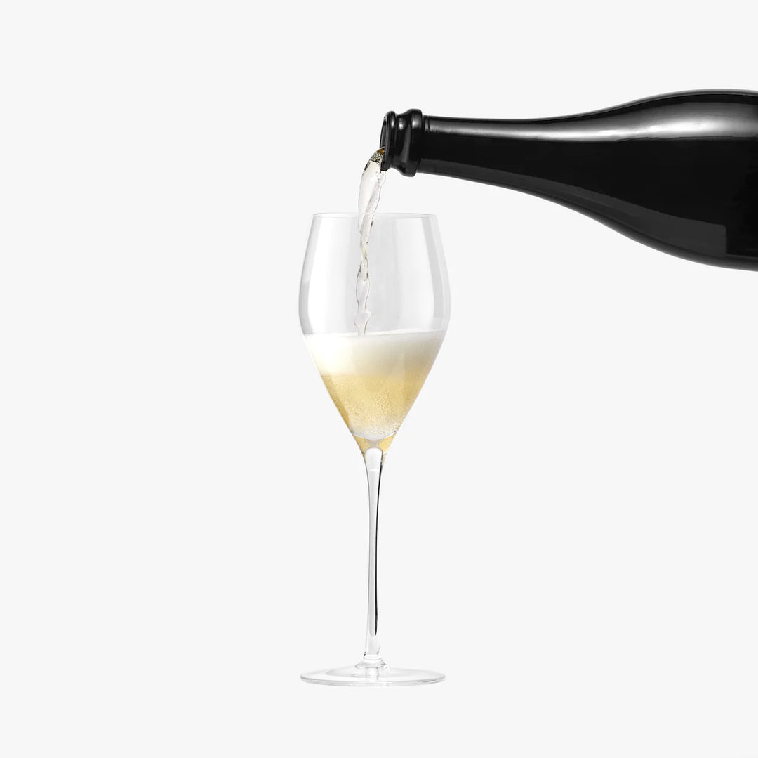 Terre Glassware Champagne Glass