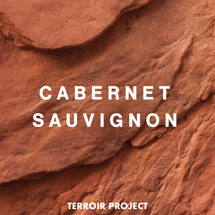 2021 Terroir Project Cabernet Sauvignon