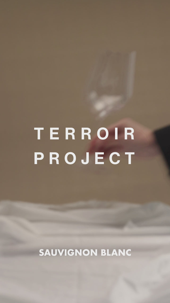 2023 Terroir Project Sauvignon Blanc