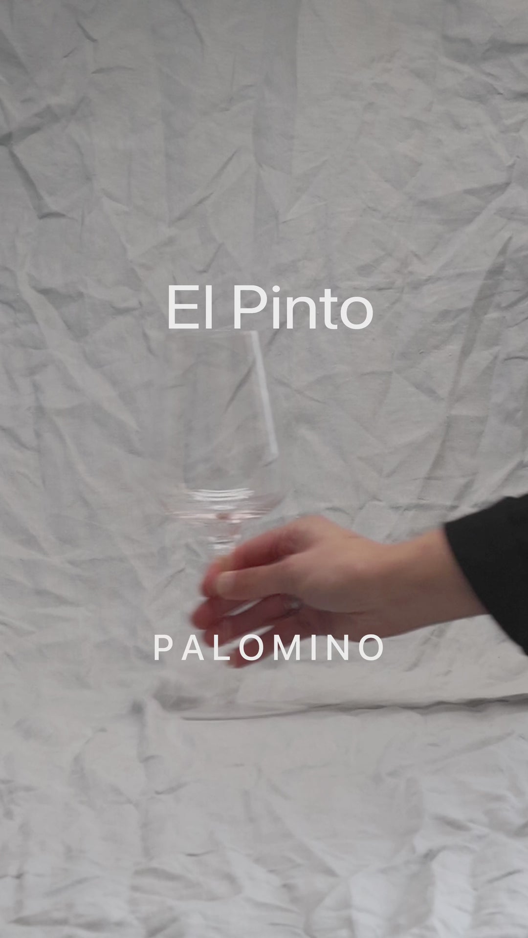 2022 La Parrilla 'El Pinto' Palomino