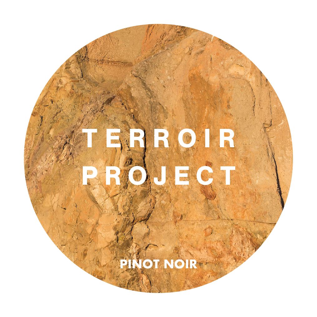 2025 Terroir Project Pinot Noir 20L Keg
